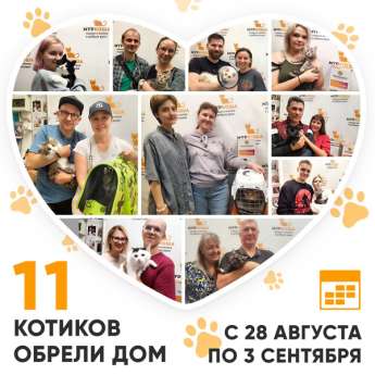 Итоги работы центра помощи кошкам с 28 августа по 3 сентября 2023г. 