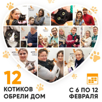 Итоги работы Adoption центра с 6 по 12 февраля 2023г.