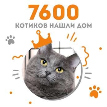 Кошечка Луламея стала 7600-ой выпускницей Центра "Муркоша"!