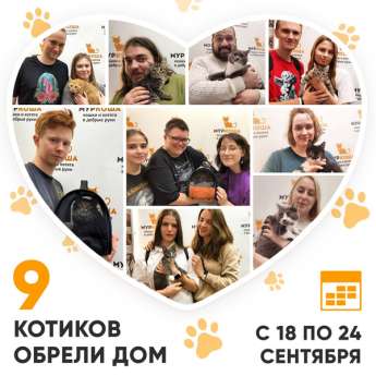 Итоги работы Центра с 18 по 24 сентября 2023г. 