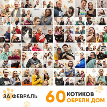 Итоги работы Adoption центра в феврале 2023 года.