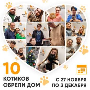 Итоги работы Центра с 27 ноября по 3 декабря 2023г.