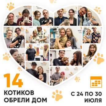 Итоги работы Adoption центра с 24 по 30 июля 2023г.
