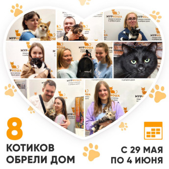 Итоги работы Adoption центра с 29 мая по 4 июня 2023г.
