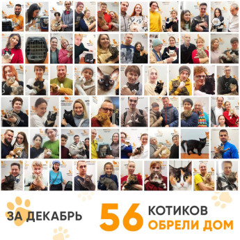 Итоги работы Adoption центра в декабре 2022 года.