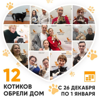  Итоги работы Adoption центра с 26 декабря 2022г. по 1 января 2023г.