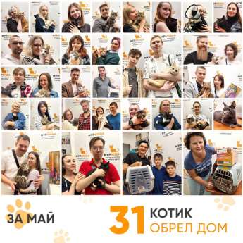 Итоги работы нашего Adoption центра в мае 2023 года.