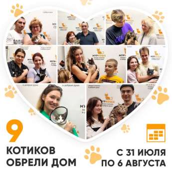 Итоги работы Adoption центра с 31 июля по 6 августа 2023г.