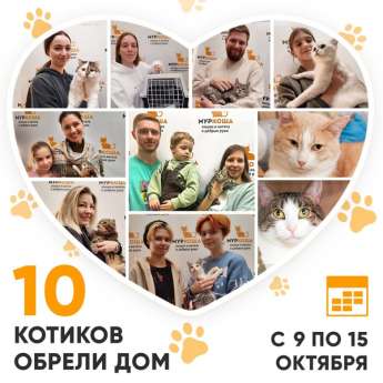 Итоги работы Центра с 9 по 15 октября 2023г. 