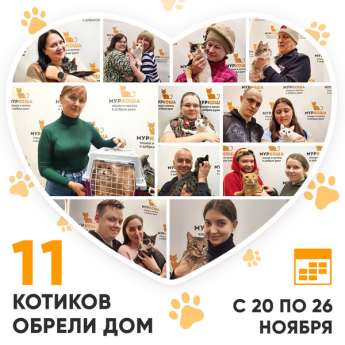 Итоги работы Центра с 20 по 26 ноября 2023г.