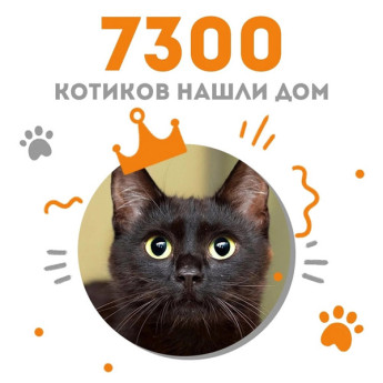 Кошечка Брунька стала 7300-ой выпускницей adoption центра "Муркоша"!
