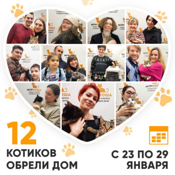 Итоги работы Adoption центра с 23 по 29 января 2023г.