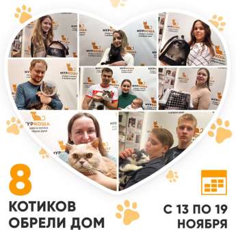 Итоги работы Центра с 13 по 19 ноября 2023г.