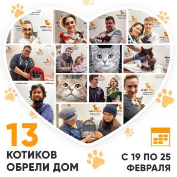 Итоги работы Центра с 19 по 25 февраля 2024г. 