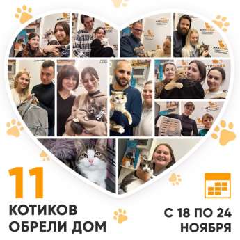 Итоги работы Центра с 18 по 24 ноября 2024г. 