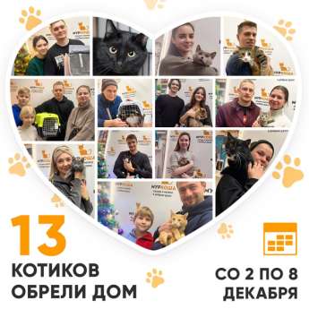 Итоги работы Центра со 2 по 8 декабря 2024г.