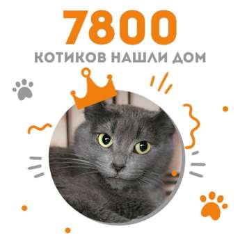Кошечка Эмлерия стала 7800-ым выпускником Центра "Муркоша"!
