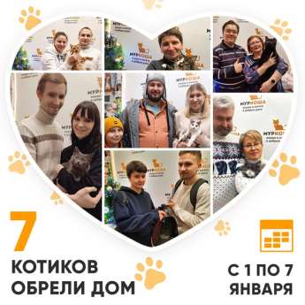 Итоги работы Центра с 1 по 7 января 2024г.
