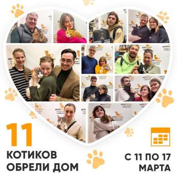 Итоги работы Центра с 11 по 17 марта 2024г.