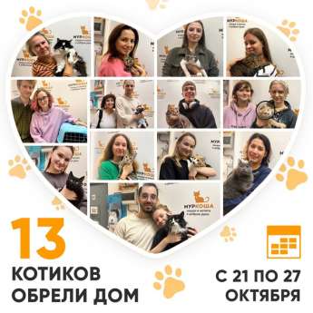 Итоги работы Центра с 21 по 27 октября 2024г.