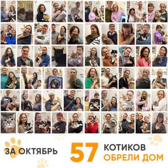 Итоги работы нашего Центра в октябре 2024 года.