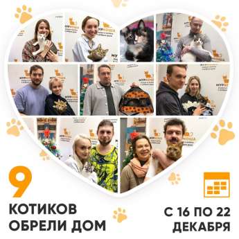 Итоги работы Центра со 16 по 22 декабря 2024г.