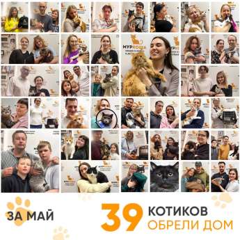 Итоги работы Центра в мае 2024 года.