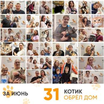 Итоги работы Центра в июне 2024 года.