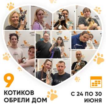 Итоги работы Центра с 24 по 30 июня 2024г.