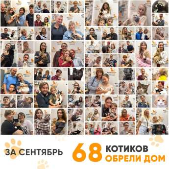 Итоги работы Центра в сентябре 2024 года.