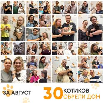 Итоги работы Центра в августе 2024 года.
