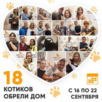 Итоги работы Центра с 16 по 22 сентября 2024г.