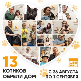 Итоги работы Центра с 26 августа по 1 сентября 2024г. 