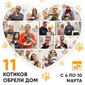 Итоги работы нашего Центра с 4 по 10 марта 2024г. 