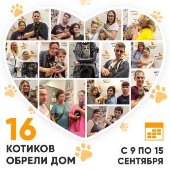 Итоги работы Центра с 9 по 15 сентября 2024г.