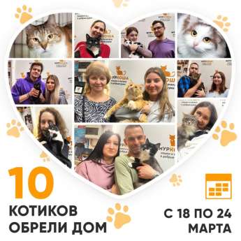 Итоги работы Центра с 18 по 24 марта 2024г.