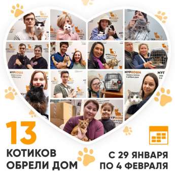 Итоги работы Центра с 29 января по 4 февраля 2024г.