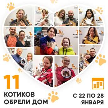 Итоги работы Центра с 22 по 28 января 2024г.