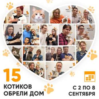 Итоги работы Центра со 2 по 8 сентября 2024г.