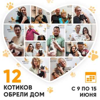 Итоги работы Центра с 9 по 15 июня 2025г. 