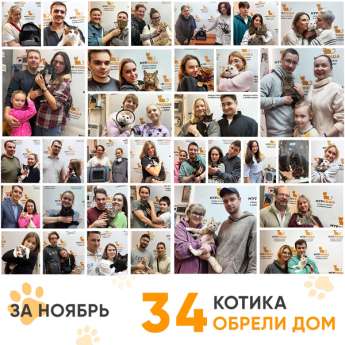 Итоги работы Центра в ноябре 2025 года.