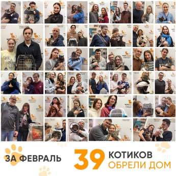Итоги работы Центра в феврале 2025 года.
