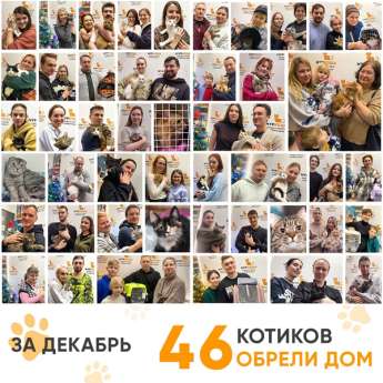 Итоги работы Центра в декабре 2024 года.