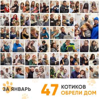 Итоги работы Центра в январе 2025 года.