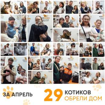 Итоги работы Центра в апреле 2025 года. 