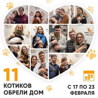 Итоги работы Центра с 17 по 23 февраля 2025г.