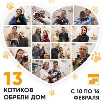 Итоги работы Центра с 10 по 16 февраля 2025г. 
