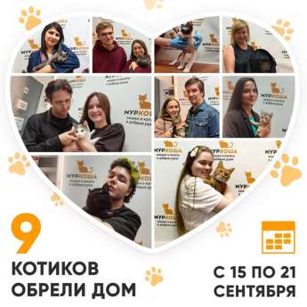 Итоги работы Центра с 15 по 21 сентября 2025г.