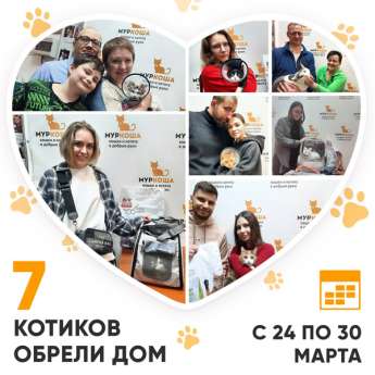 Итоги работы Центра с 24 по 30 марта 2025г.