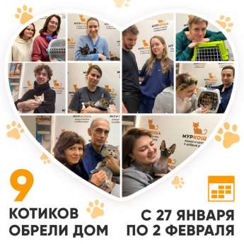 Итоги работы Центра с 27 января по 2 февраля 2025г.